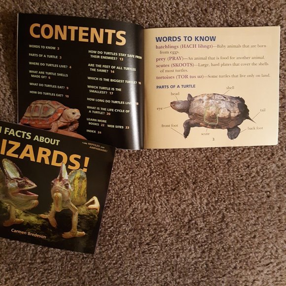 Turtle/Lizard Fun Book Bundle For Kids - Picture 4 of 6